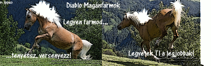 Diablo Magnfarmok